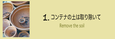 コンテナの土は取り除いて