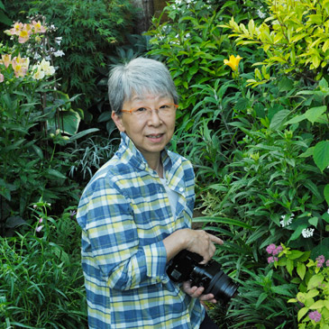 青木純子のポートレート