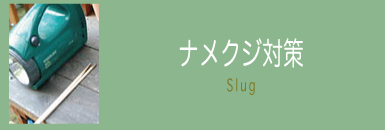 ナメクジ対策
Slug