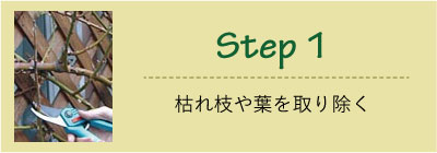 Step１ 枯れ枝やはを取り除く