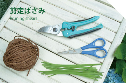 剪定ばさみ
Pruning shears