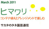 March 2011
ヒマワリ
コンテナ植えとアレンジメントで楽しむ
サカタのタネ園芸通信