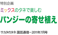 特別企画
ミックスのタネで楽しむ
パンジーの寄せ植え
サカタのタネ園芸通信2011年7月号