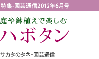 特集・園芸通信2012年6月号
庭や鉢植えで楽しむ
ハボタン
サカタのタネ・園芸通信