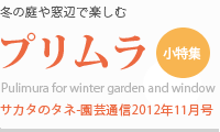 冬の庭や窓辺で楽しむ
プリムラ（小特集）
サカタのタネ園芸通信2012年11月号