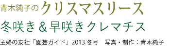 青木純子のクリスマスリース
冬咲く＆早咲きクレマチス
主婦の友社「園芸ガイド」２０１３年冬号　写真・制作：青木純子 