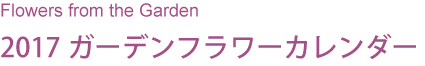 Flowers from the garden
2017ガーデンフラワーカレンダー