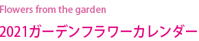 Flowers from the garden
2021ガーデンフラワーカレンダー
