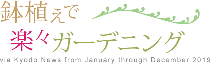 鉢植えで楽々ガーデニング
via Kyodo News from January through December2019
