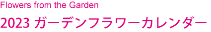 Flowers from the Garden
2023ガーデンフラワーカレンダー