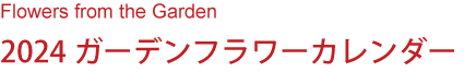 Flowers from the Garden
2023ガーデンフラワーカレンダー