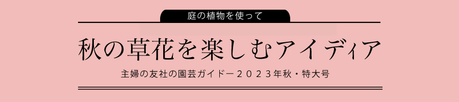 庭の植物を使って
秋の草花を楽しむアイディア
主婦の友社の園芸ガイド-2023年・秋特大号